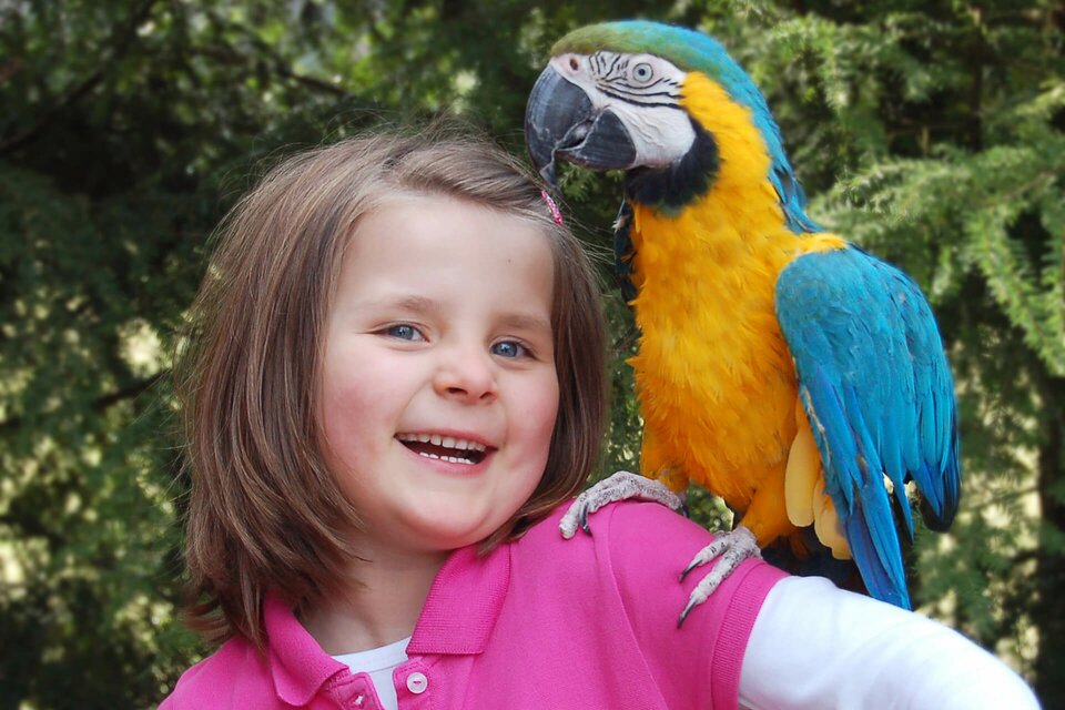 Vogelpark Heiligenhagen