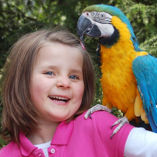 Vogelpark Heiligenhagen