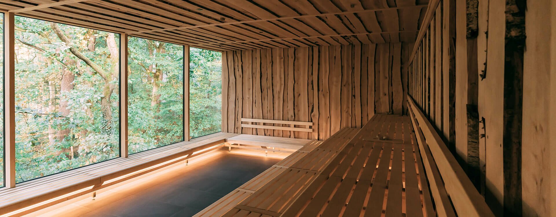 Panorama-WALDsauna in 10 m Baumhöhe Panorama-WALDsauna in 10 m Baumhöhe