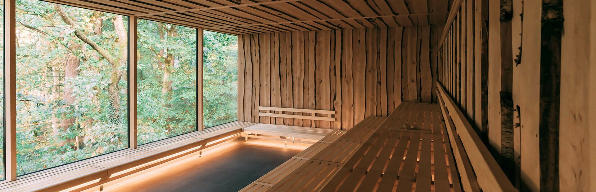 Panorama-WALDsauna in 10 m Baumhöhe